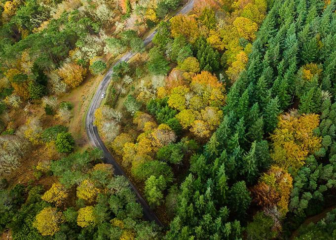 Summer and autumn
