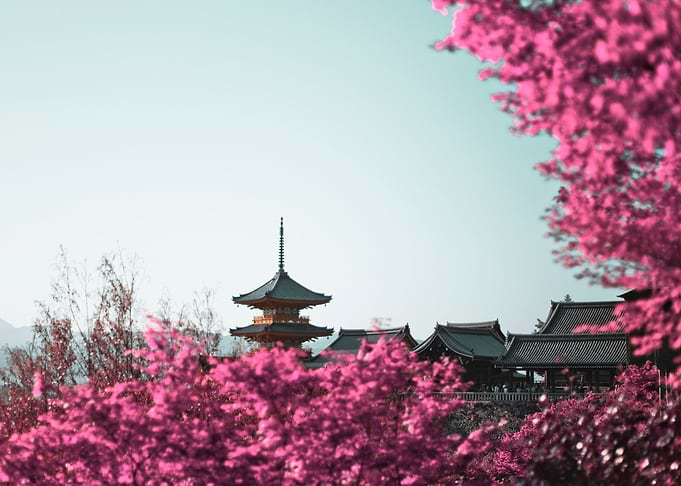 Kiyomizudera infrared