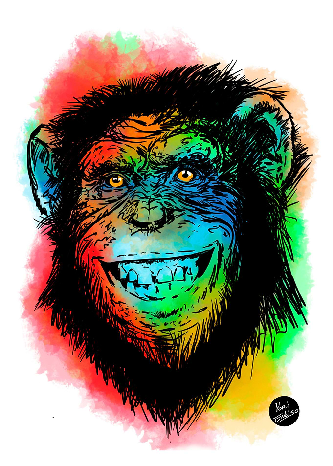 Ape black and color
