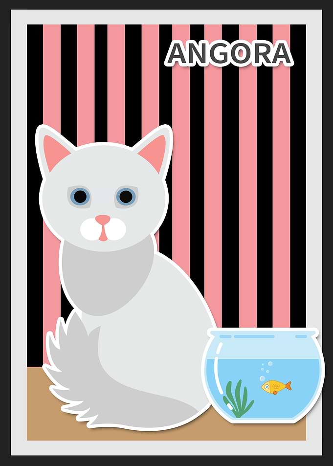 angora
