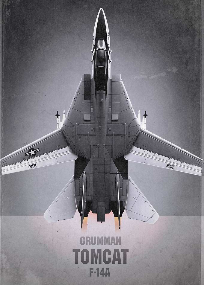 Grumman F14A Tomcat