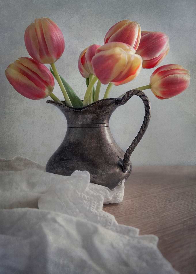 Fresh tulips
