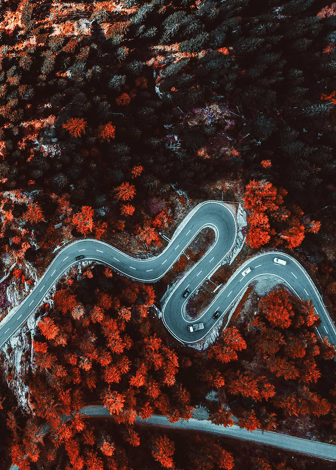 Red forest from above