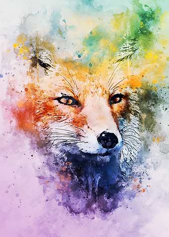 Fox Gaze
