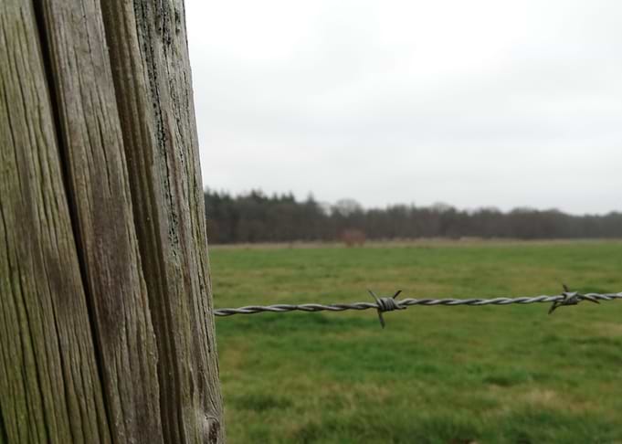 Landscape The Netherlands