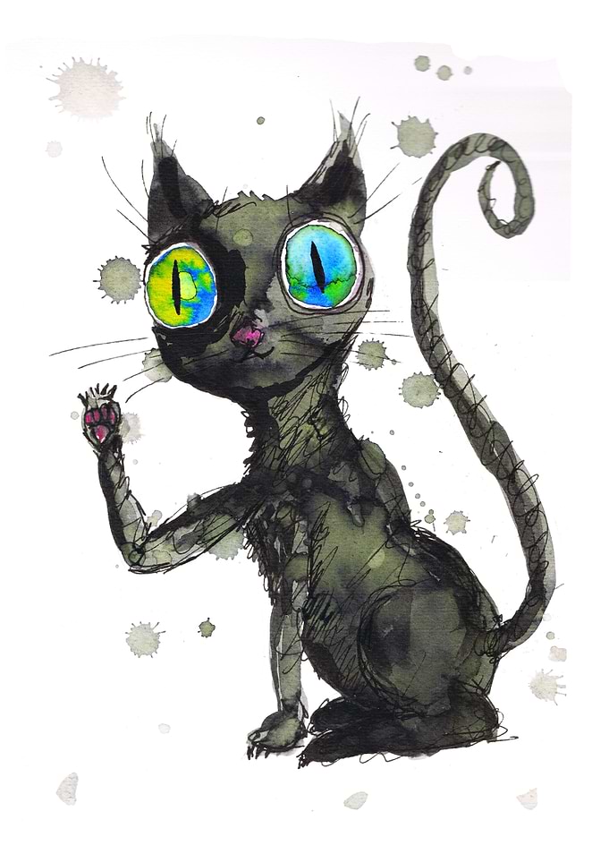 Black friendly cat