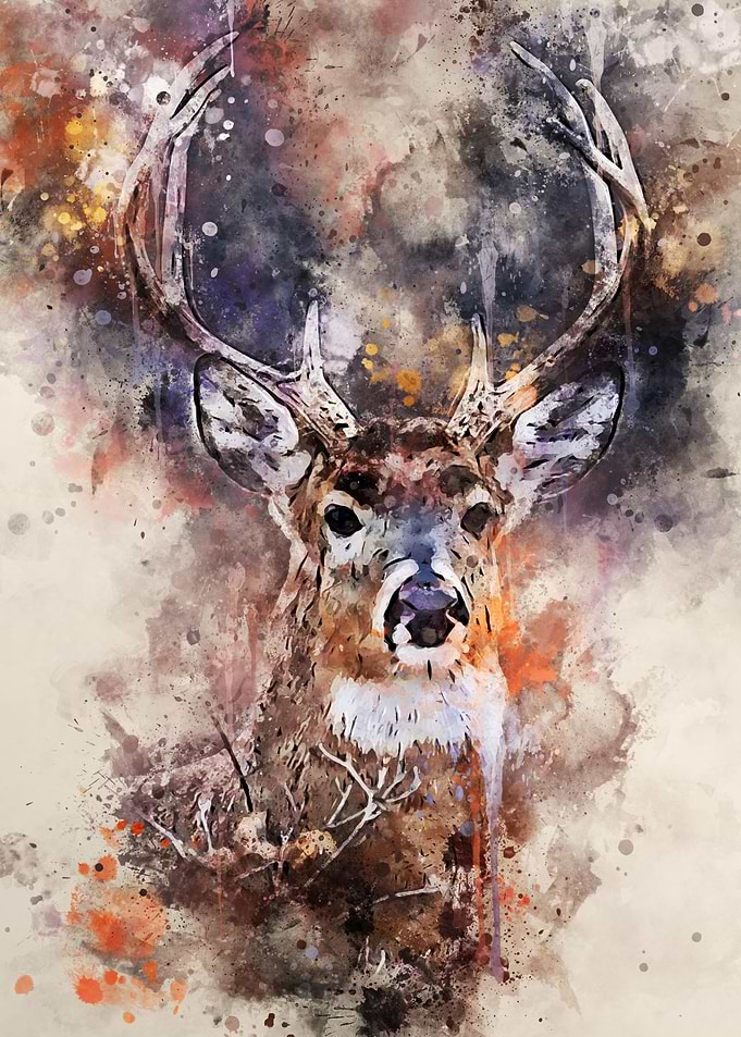 The Deer Gaze