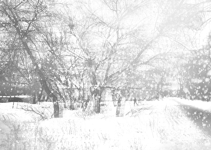 Winter city
