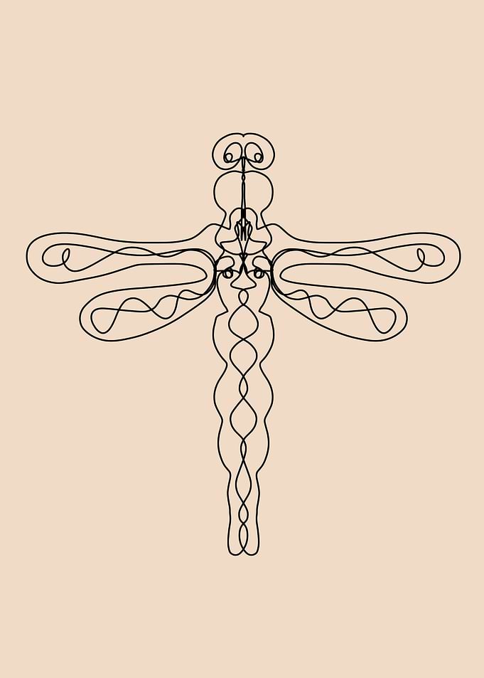 dragonfly in lineart