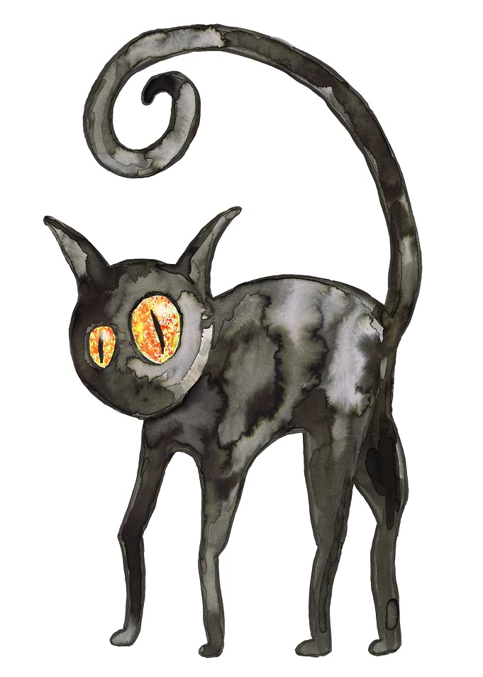 Black cat with orange eyes