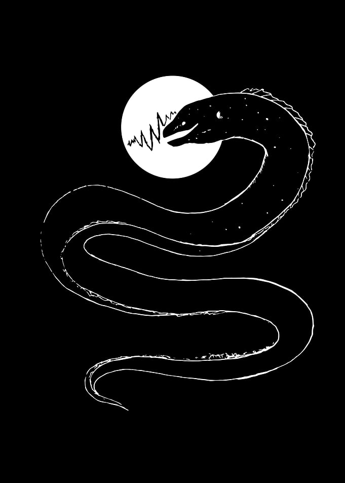 Thunder moray