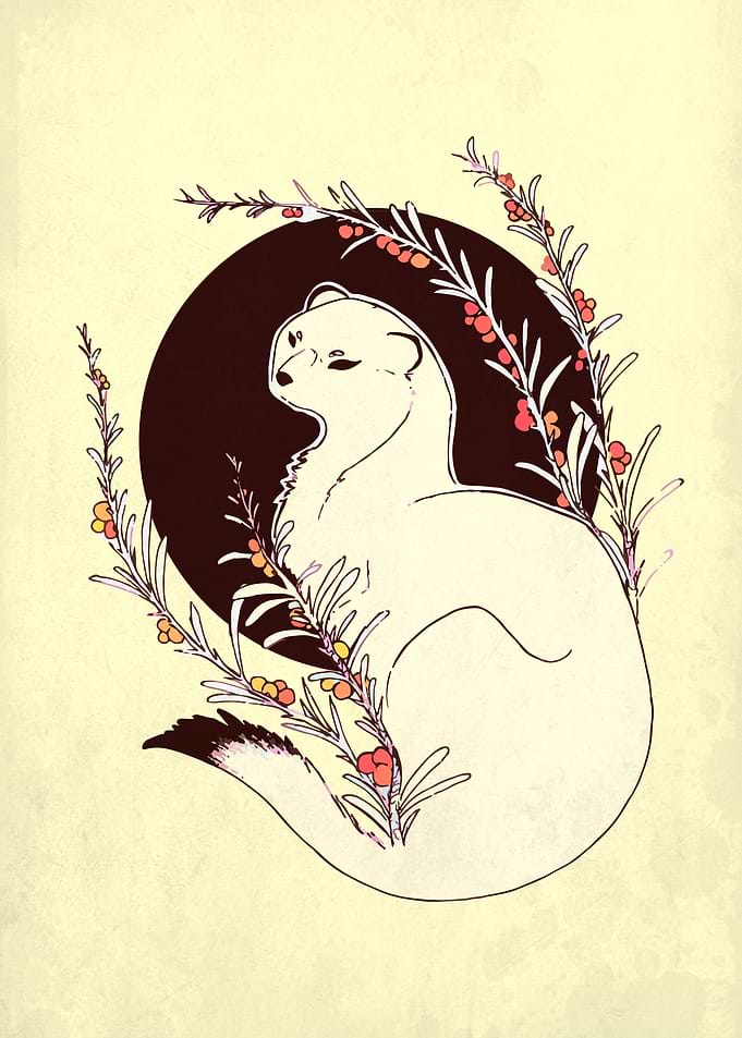 Yin yang weasel