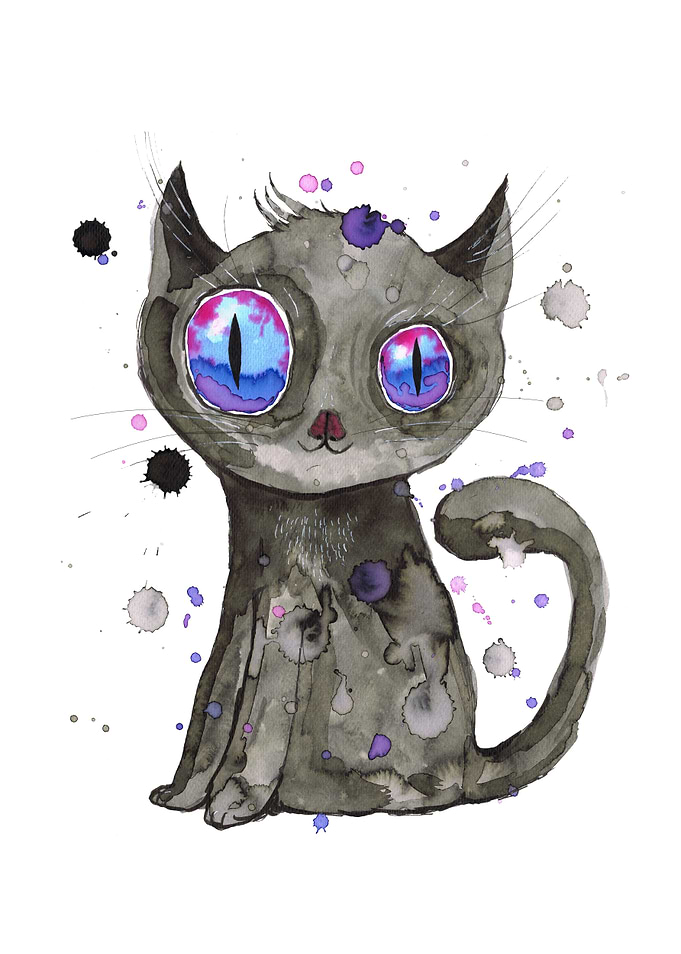 Black cute kitten