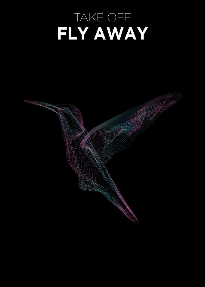 Fly Bird Line Art Design