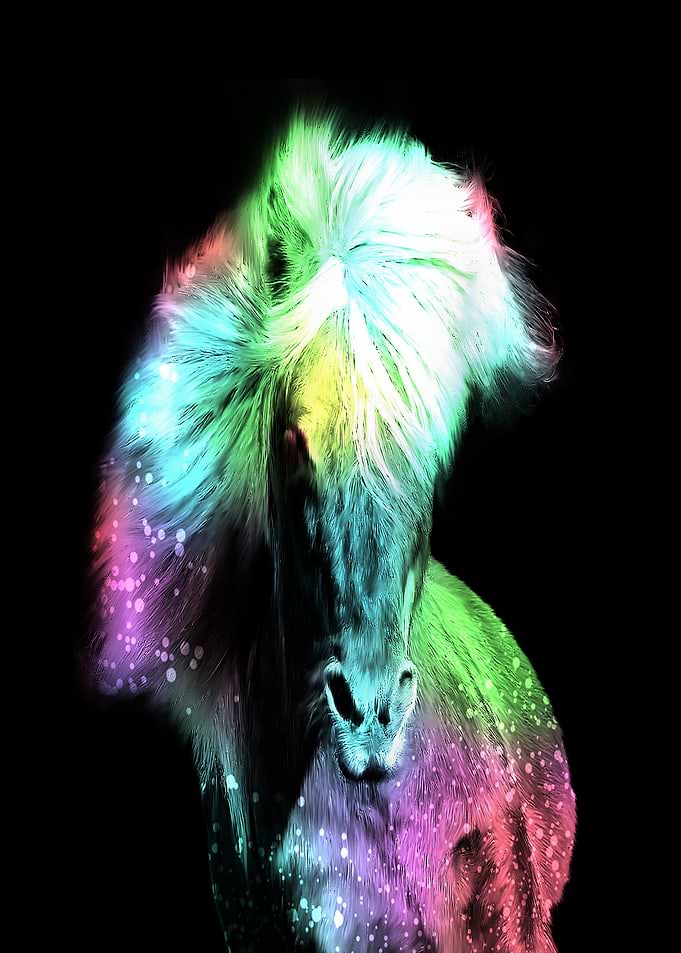 a magic Horse