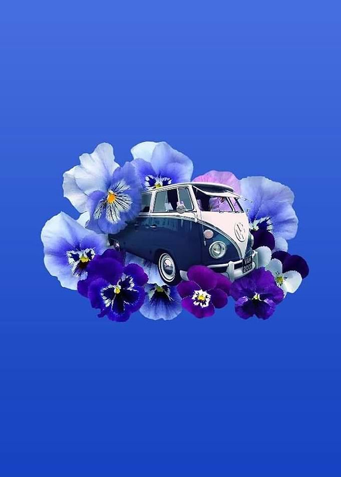Van