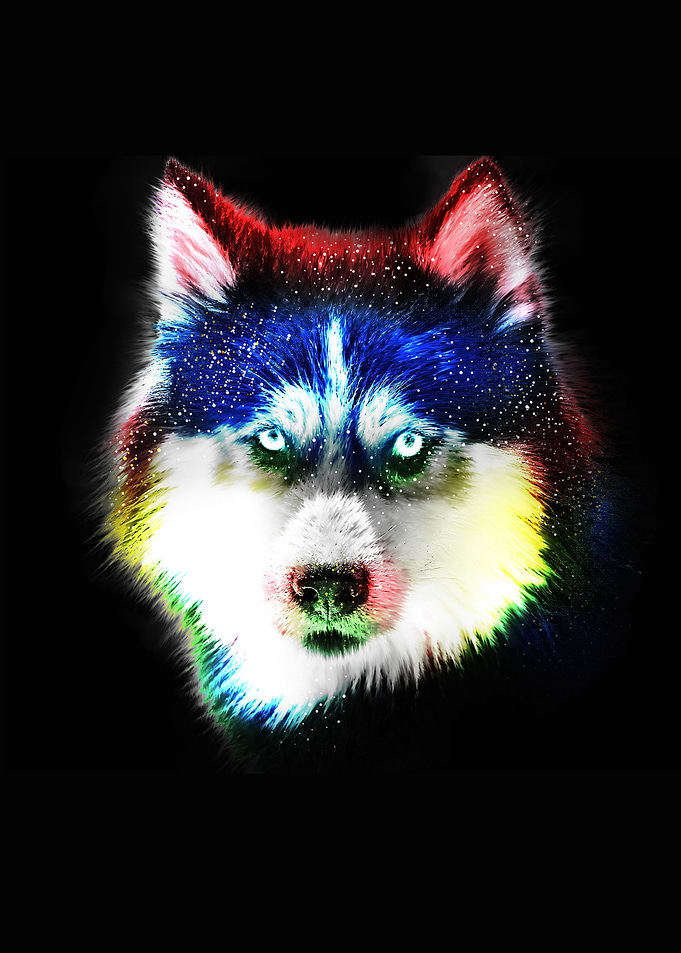 colorful wolf