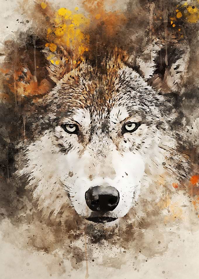 The Wolves