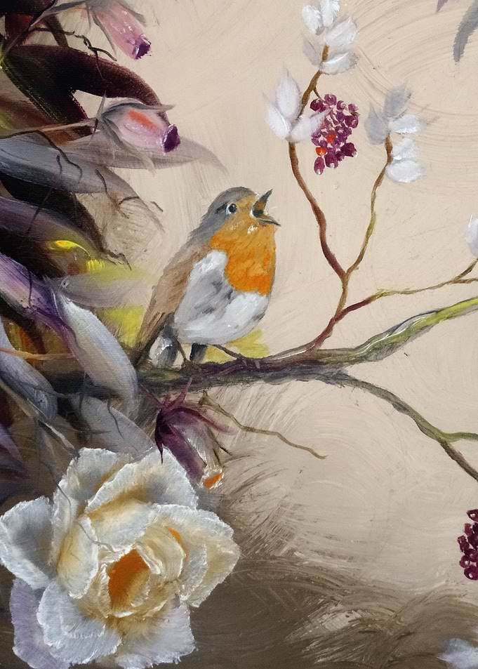 Robin in Forest