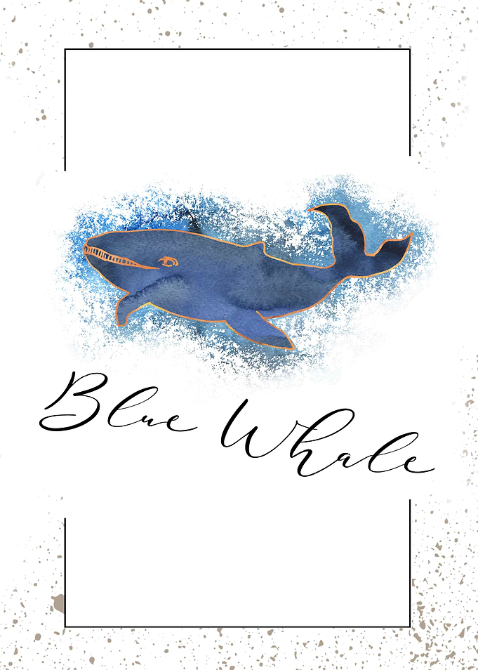 Blue Whale