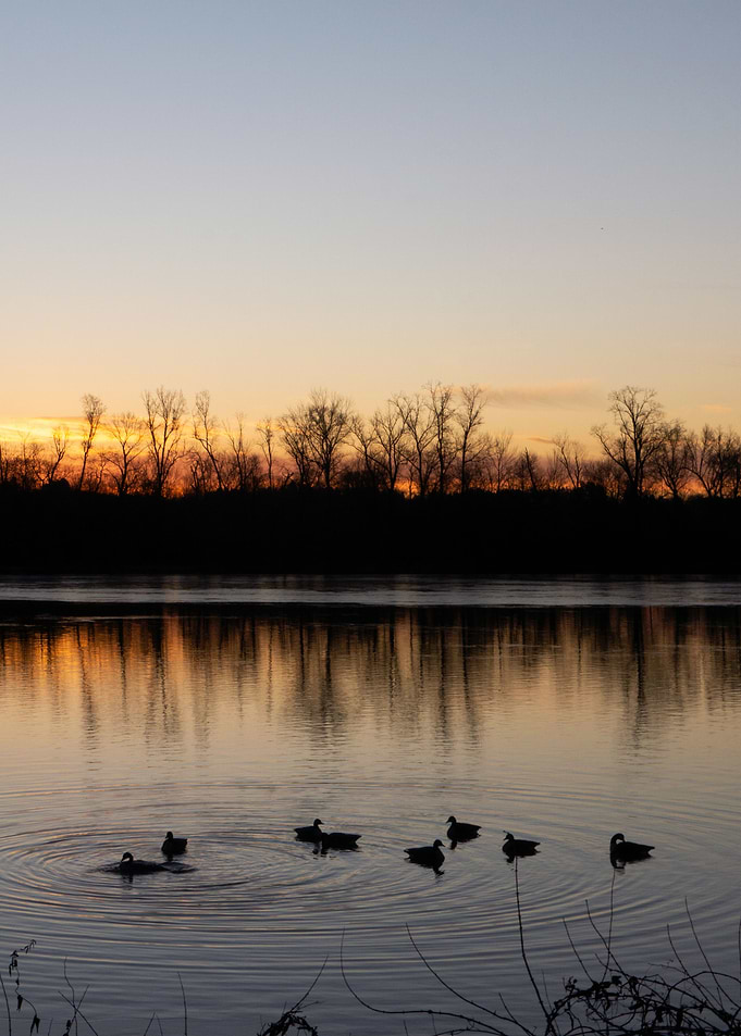 Dawn
