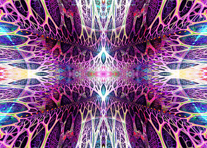 Holomorphian Crux