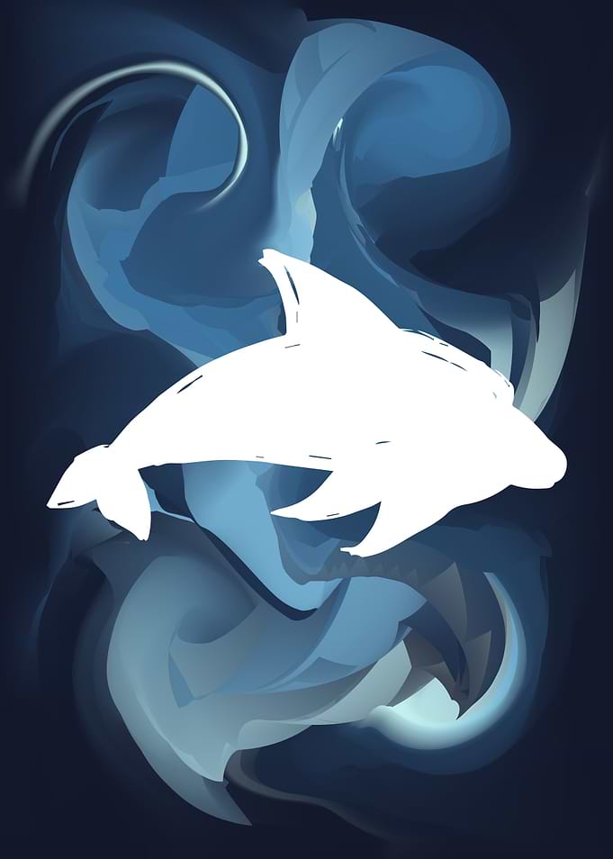 Dolphin Animal 25