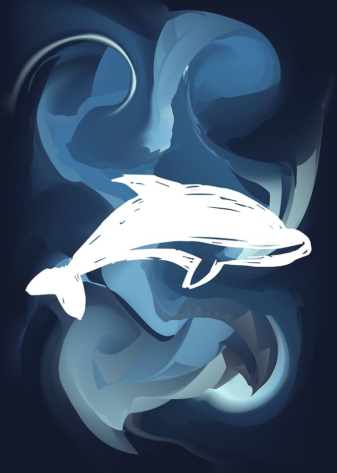 Dolphin Animal 12