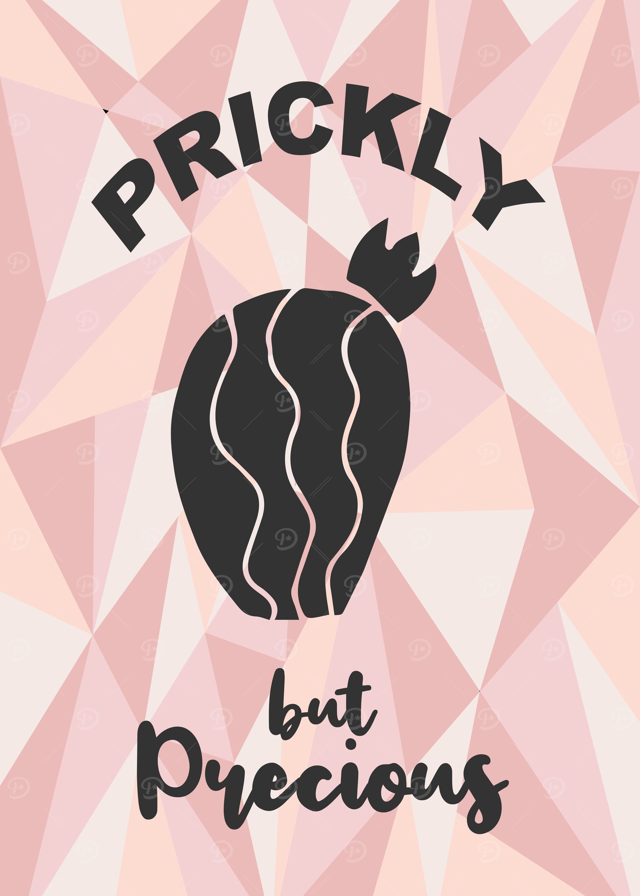 Prickly Cactus 5