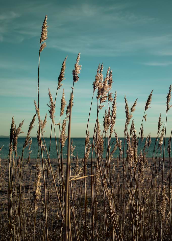 Tranquil Seaside