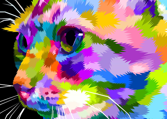 close up of colorful cat