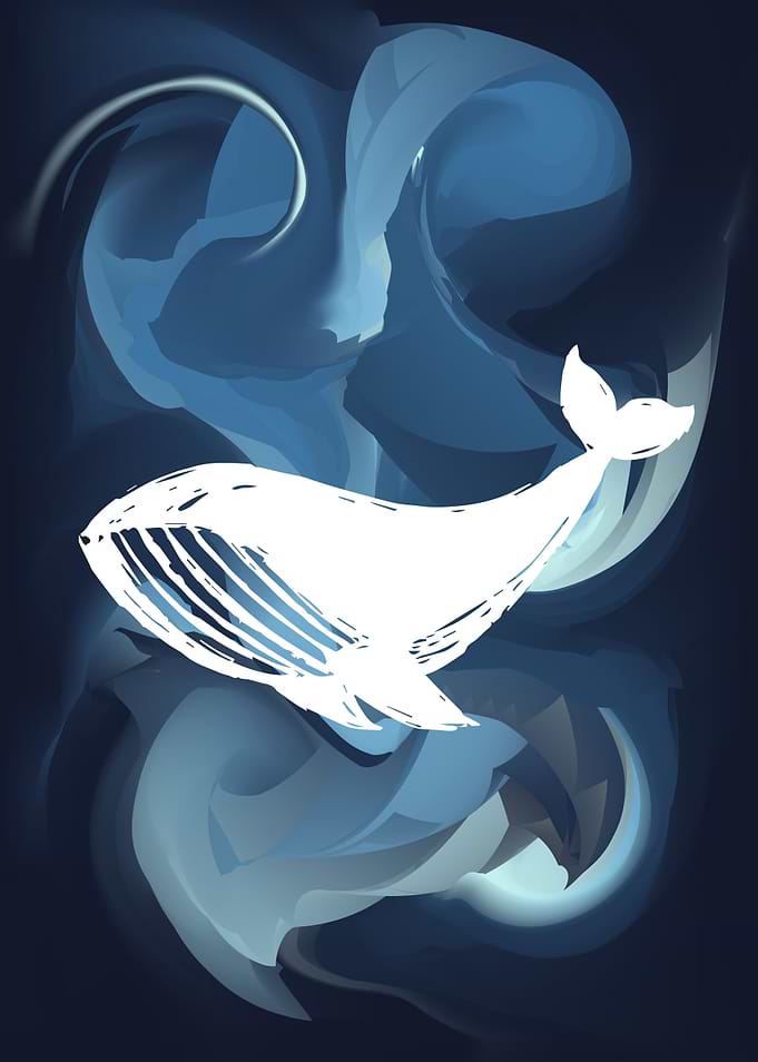 Whale Animal 11