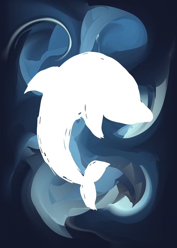 Dolphin Animal 5