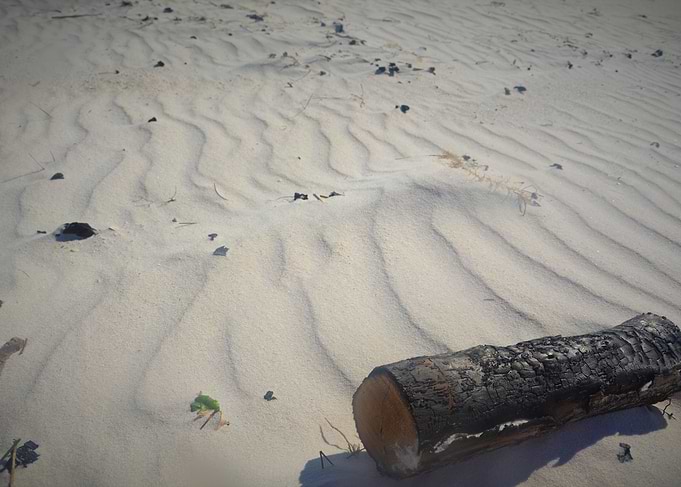Beached