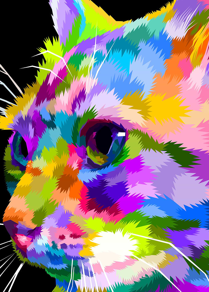close up of face cat