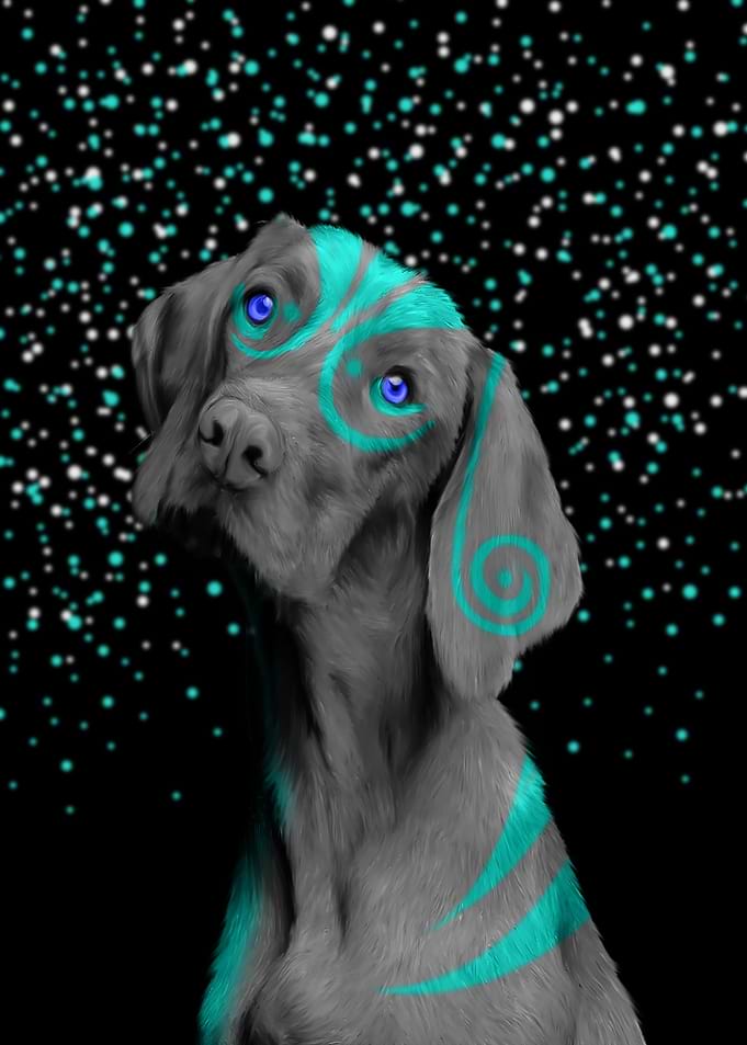 Dog waiting for the employ