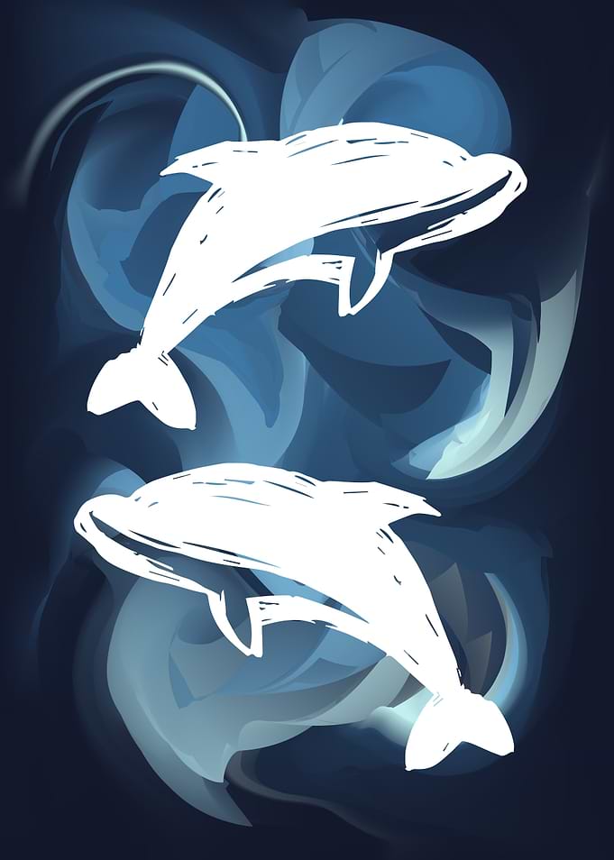 Dolphin Animal 29