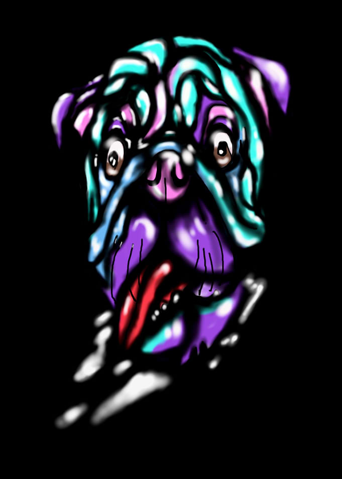 funny dog