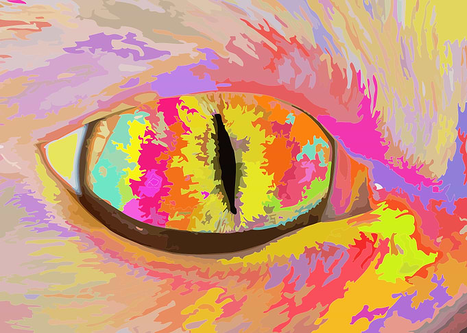 Eye cat