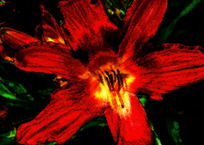 Brilliant flower abstract