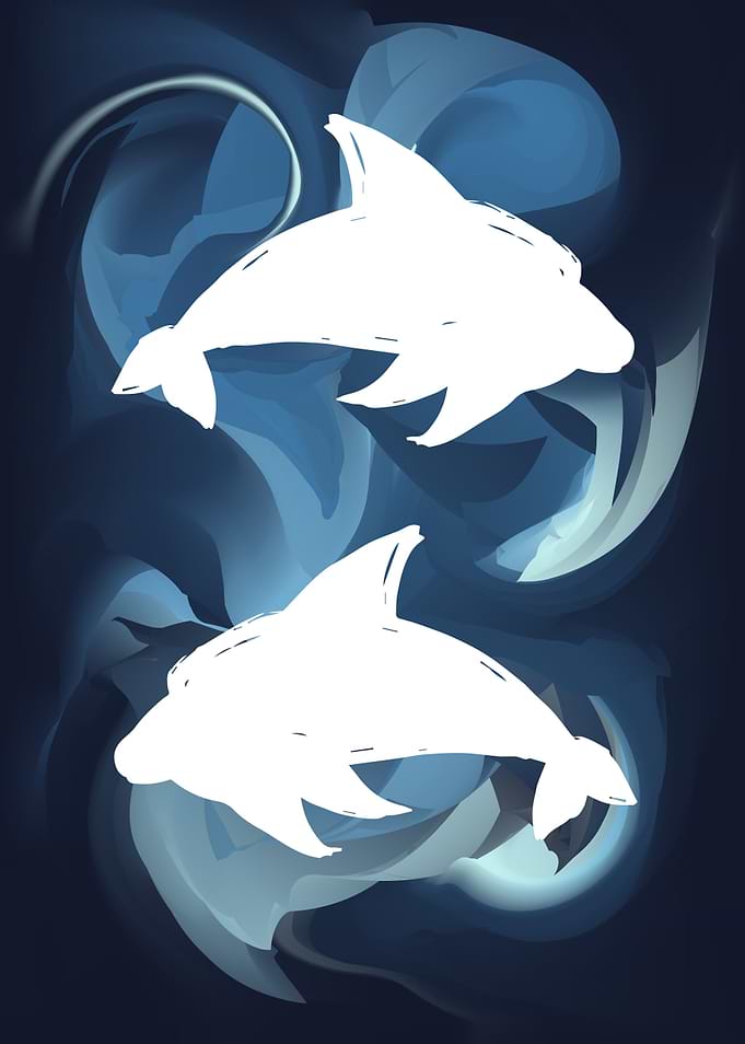 Dolphin Animal 6