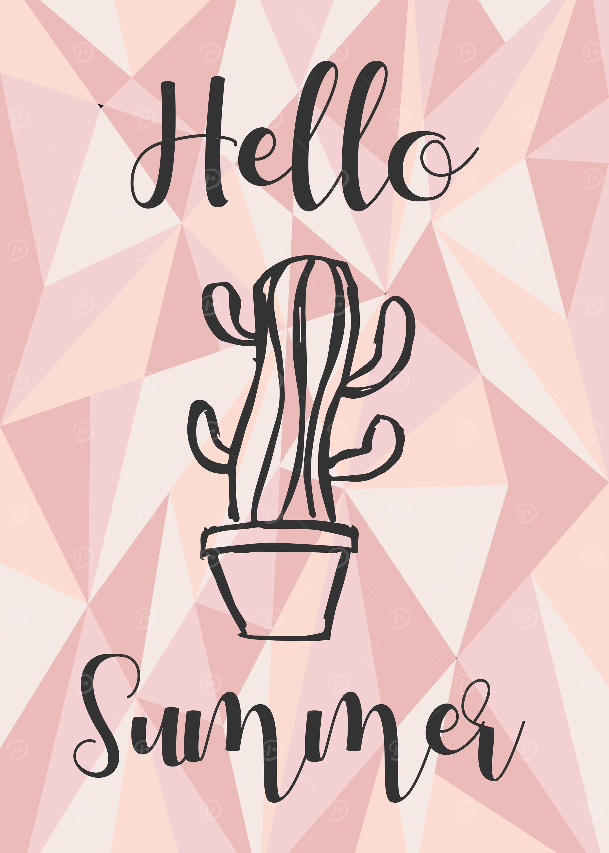 Cactus Summer 19