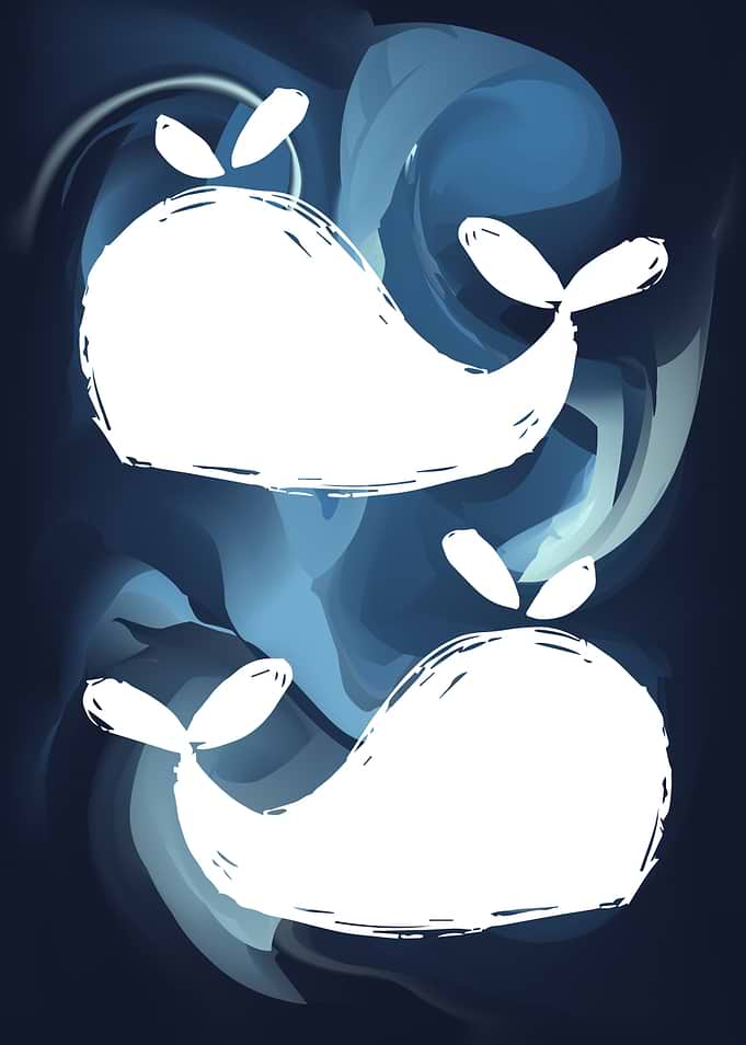 Whale Animal 20