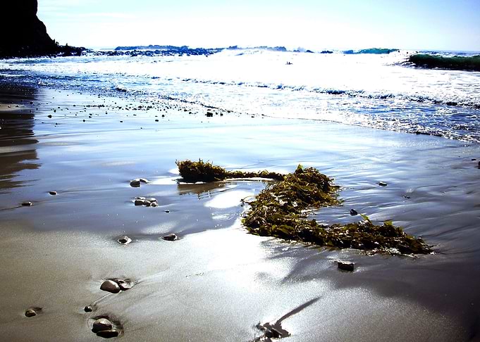 Bright Beach