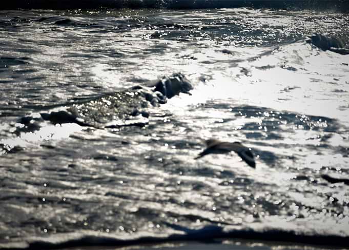 Seafoam