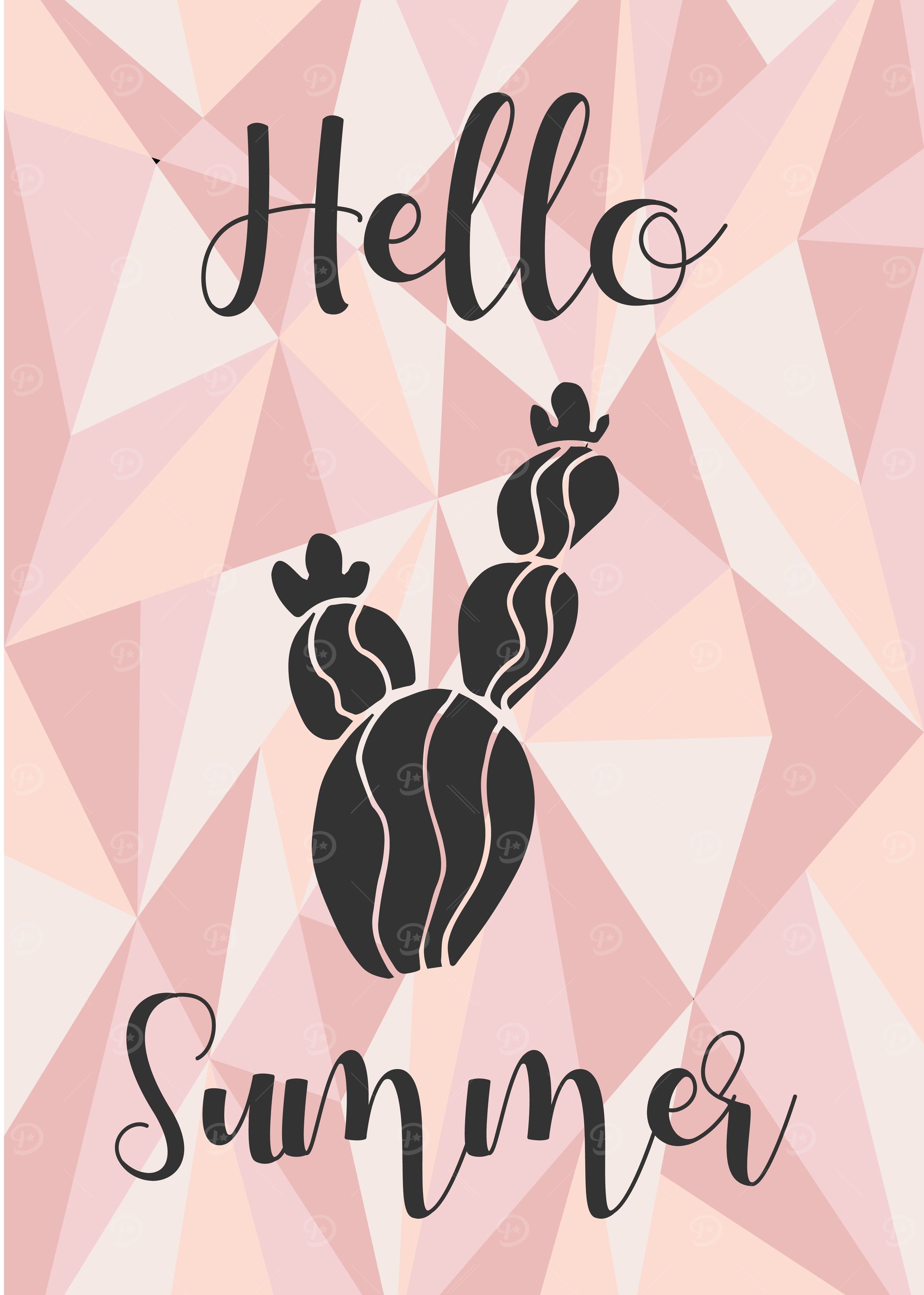Cactus Summer 7