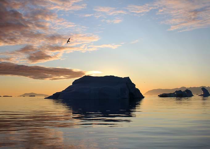 Arctic morning