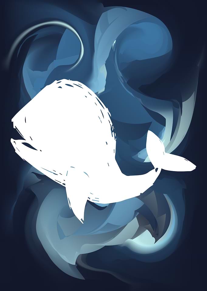 Whale Animal 29