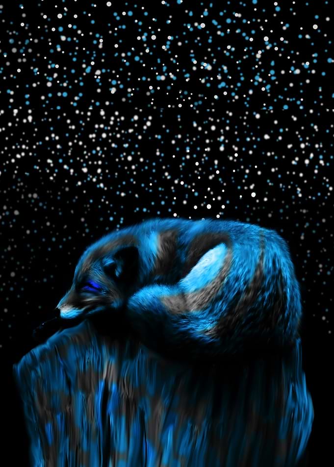 Lonely Fox