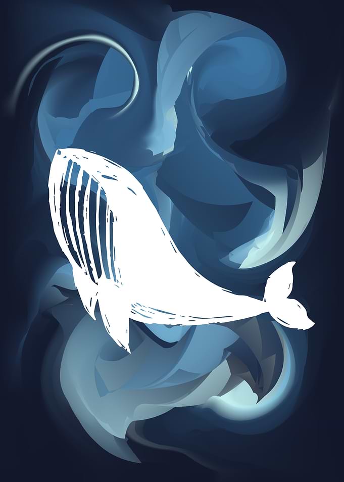 Whale Animal 32